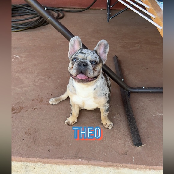 Vintage To Modern Jewelry - Picture 2 of 4